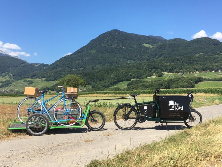 tofixornotofix velo cargo service transport